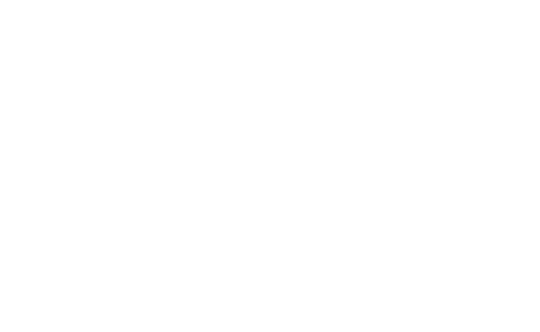 Raleston Consulting